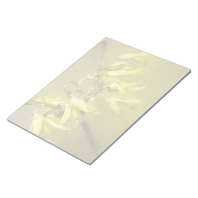 Forsythia - Springtime Sunshine Notepad (Angled)