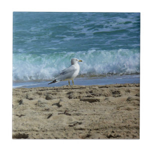 Fort Lauderdale, Florida Ceramic Tile