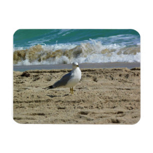 Fort Lauderdale, Florida Magnet