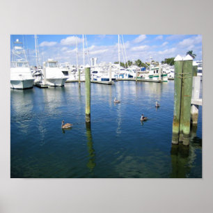 Fort Lauderdale, Florida Poster