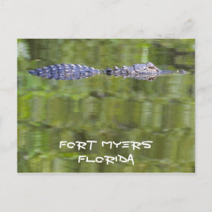 Fort Myers Alligator Card