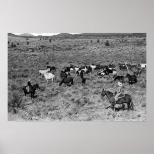 Fort Rock, Oregon Cowboy in the Devil's Garden Poster