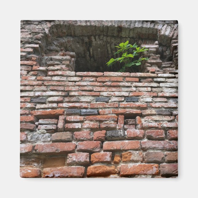 fortress wall window magnet (Front)