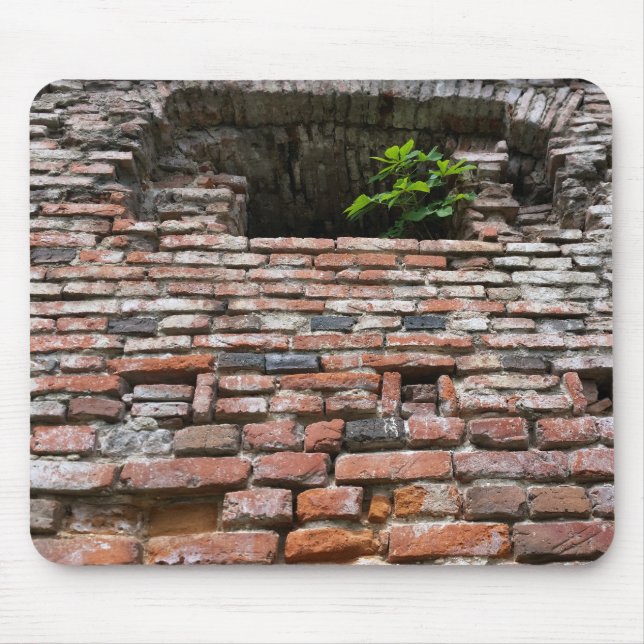 fortress wall window mouse pad (Front)