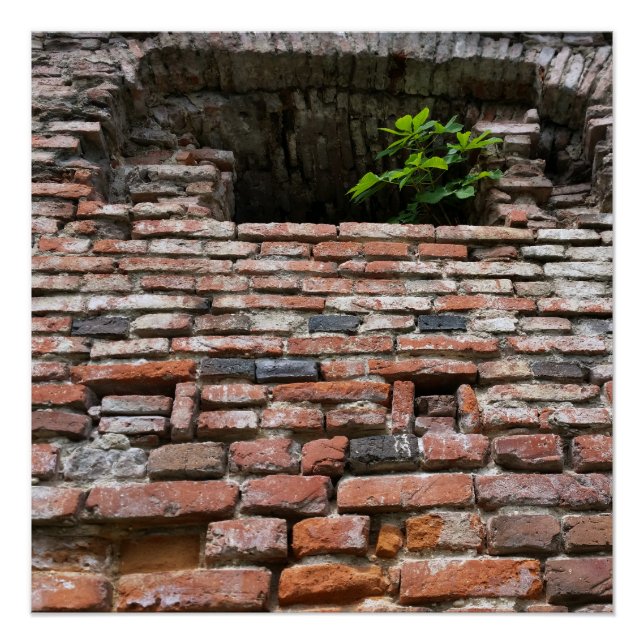 fortress wall window poster (Front)