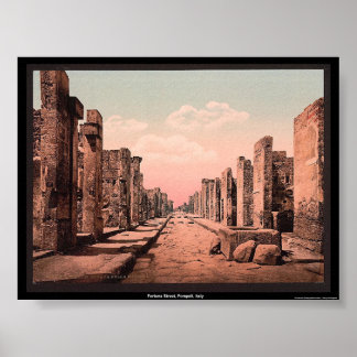 Fortuna Street, Pompeii, Italy Poster