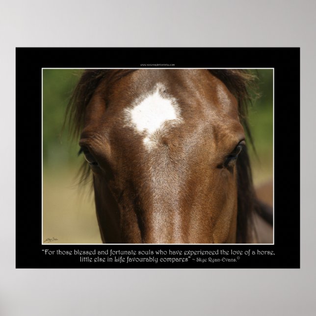 FORTUNATE ~ Chestnut Horse Photo Poster (Front)