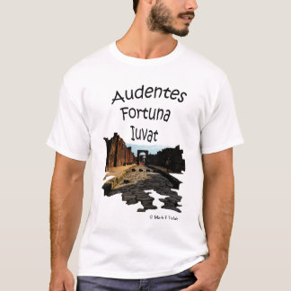 Fortune Favours The Bold T-Shirt