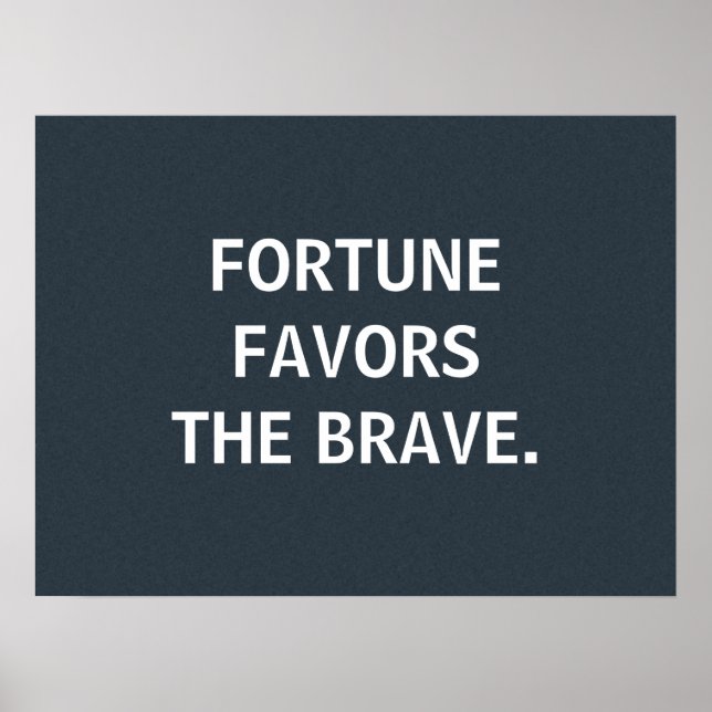 Fortune Favours the Brave, custom poster (Front)