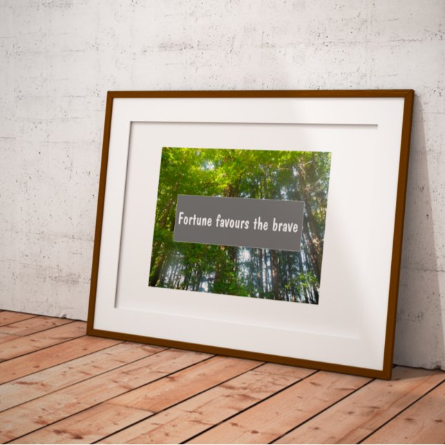 Fortune favours the brave proverb  poster (Creator Uploaded)
