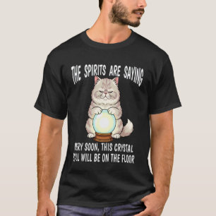 Fortune Teller House Cat with Crystal Ball On The T-Shirt