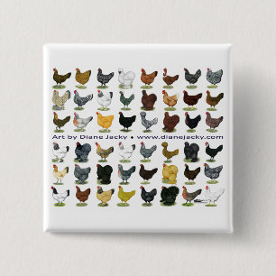 Forty-eight Hen Promo 15 Cm Square Badge