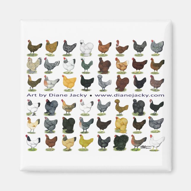 Forty-eight Hen Promo Magnet (Front)