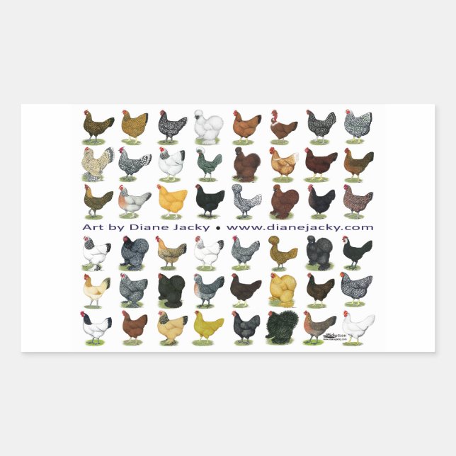 Forty-eight Hen Promo Rectangular Sticker (Front)