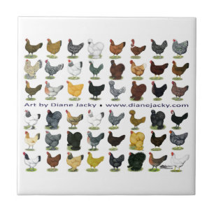 Forty-eight Hen Promo Tile