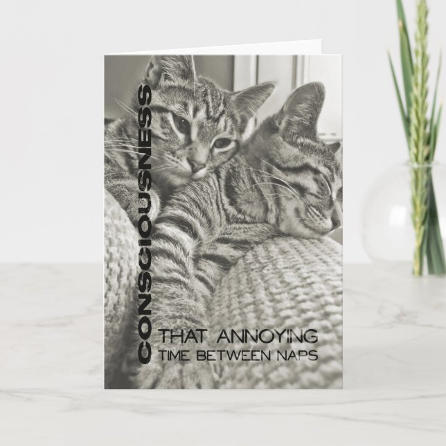 FORTY WINKS Greeting Card (Front)