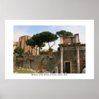 Forum of Nerva Poster