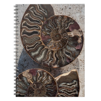 Fossil Ammonite Notebook