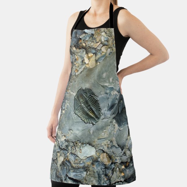 Fossil Apron (Insitu)