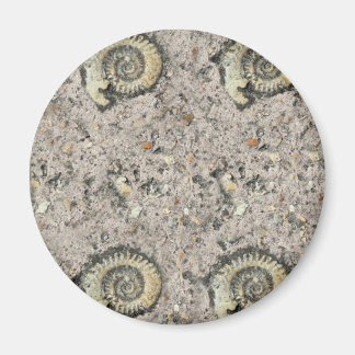 fossil background magnet