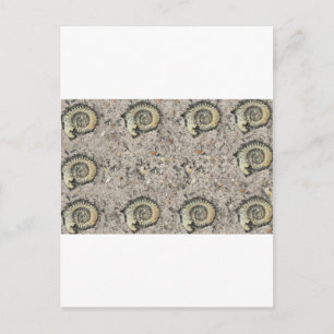 fossil background postcard