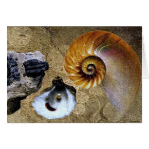 Fossil Card