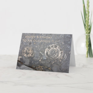 Fossil Card