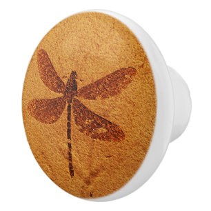 Fossil Dragonfly Ceramic Knob