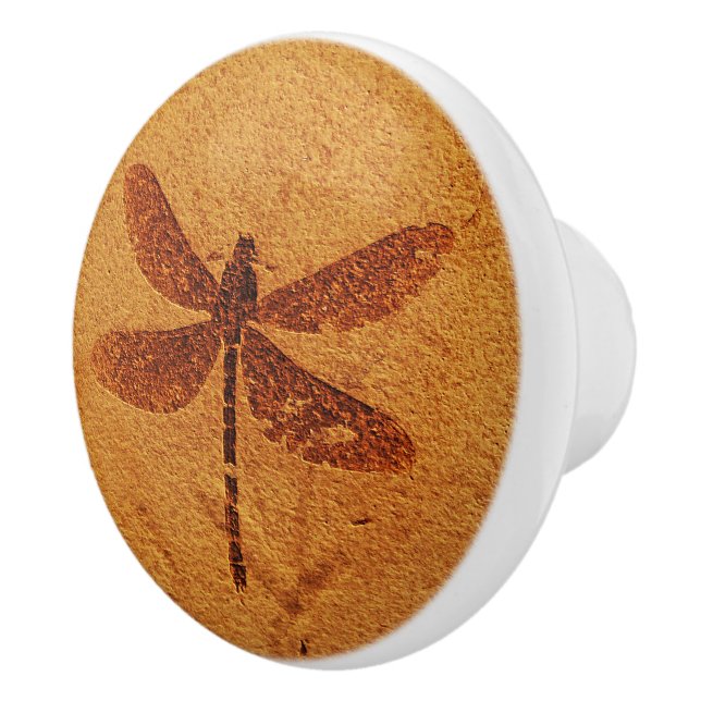 Fossil Dragonfly Ceramic Knob (Right)