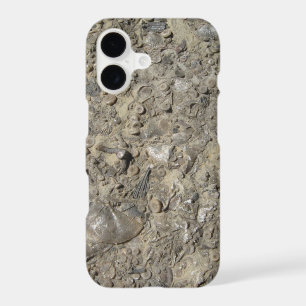 Fossil Hash Print