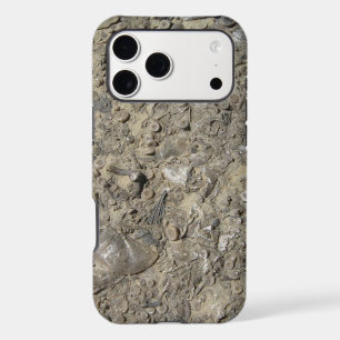 Fossil Hash Print