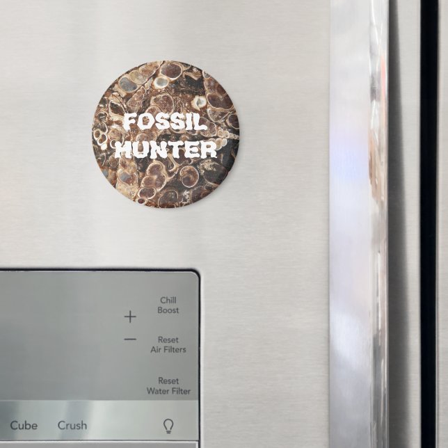 Fossil Hunter Turritella Agate Magnet (In Situ (Fridge))