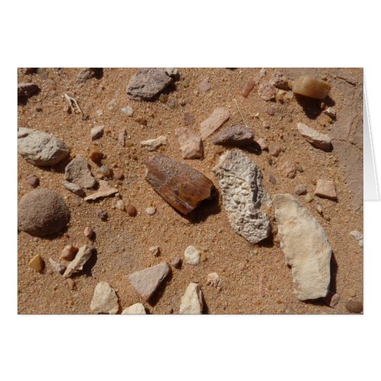 Fossil in the dessert card