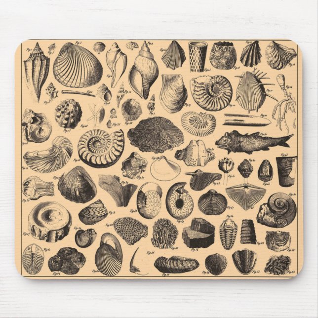Fossil Mousepad (Front)