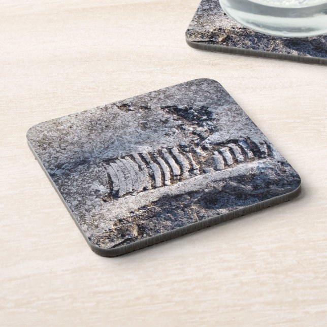 Fossil Nautiloid Cephalopod Ancient Sea Mollusc Coaster (Left Side)