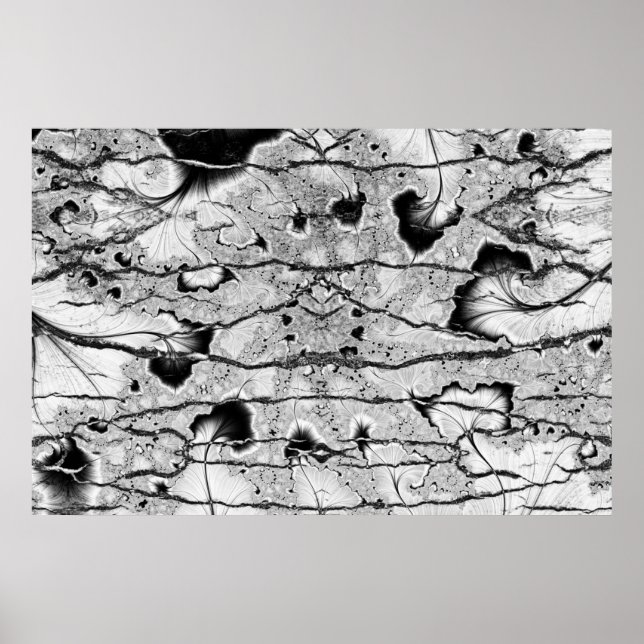 Fossil Poster (Front)