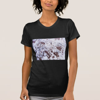 Fossil Rock T-Shirt