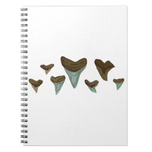 Fossil Shark Teeth Notebook