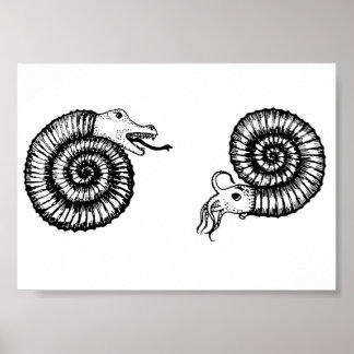 Fossil: Snakestone or Ammonite? Poster