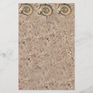 Fossil Stationery
