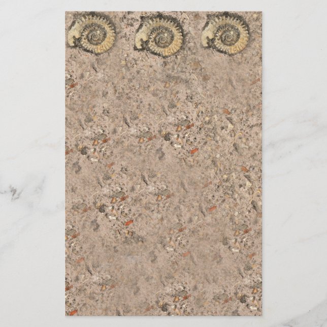 Fossil Stationery (Front)