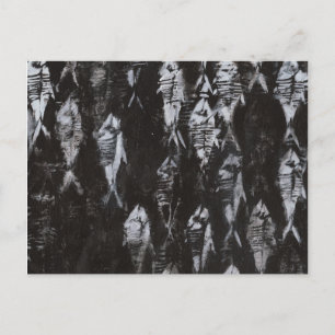 Fossil White Fish on Black Background Postcard