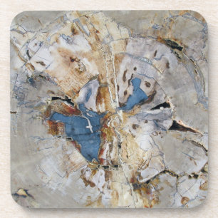 Fossil Wood Coaster