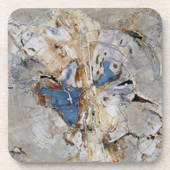 Fossil Wood Coaster (Front)