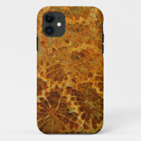 Fossilised coral natural jasper gemstone