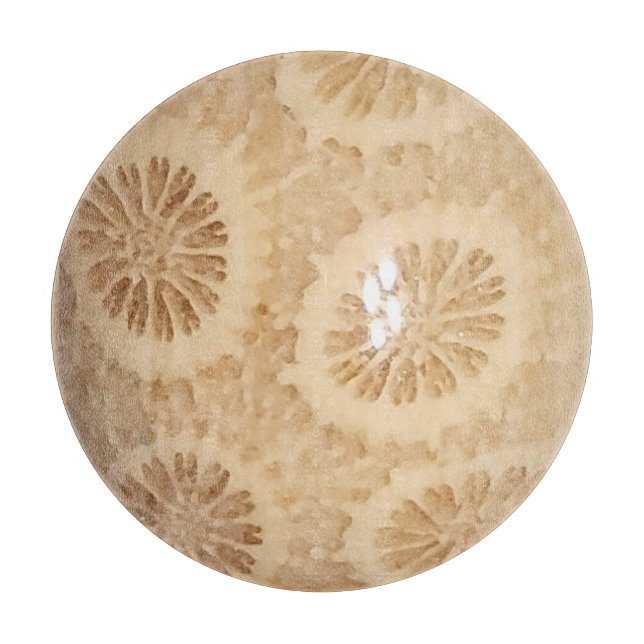 Fossilised Coral Print Cutting Board (Front)