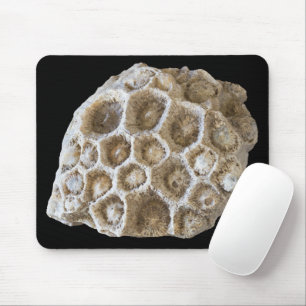 Fossilised Coral Rock Nature Photography Mouse Pad