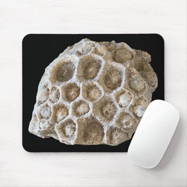 Fossilised Coral Rock Nature Photography Mouse Pad (With Mouse)