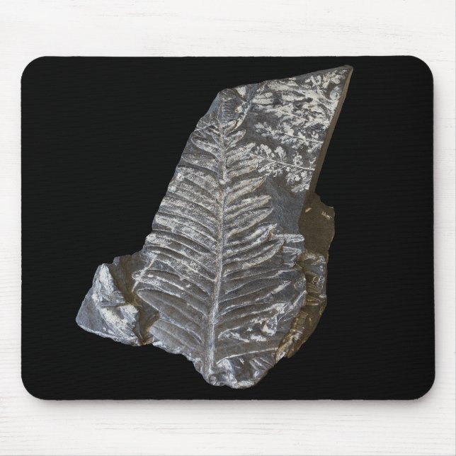 Fossilised Fern Leaves Rocks Nature Photography Mouse Pad (Front)