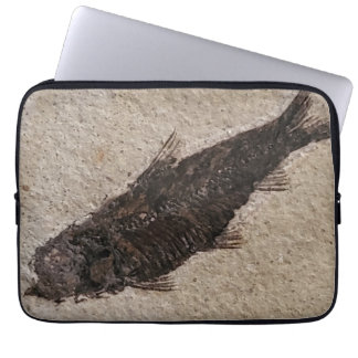 Fossilised Fish electronics case